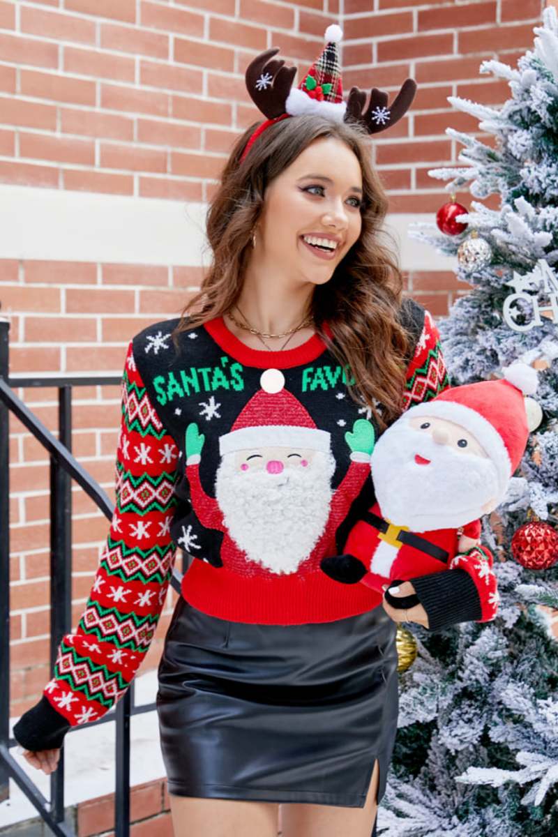 Embroidered Santa Claus Pattern Relaxed Crew Neck Knit Sweater