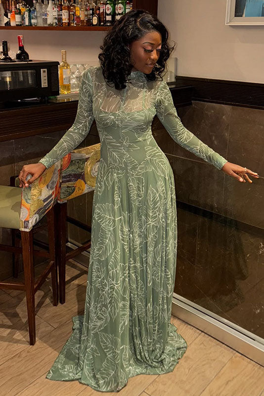 Botanical Print Sheer Mesh Maxi-Length Dress
