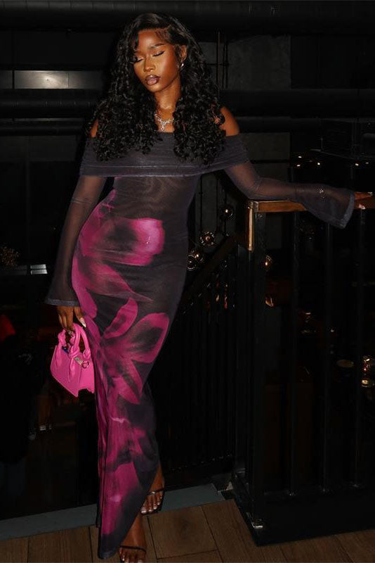 Glamorous Rose Print Sheer Mesh Fitted Dress