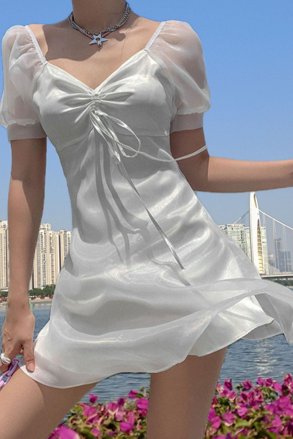 Modern Puff - Sleeve Sheer Princess Dress