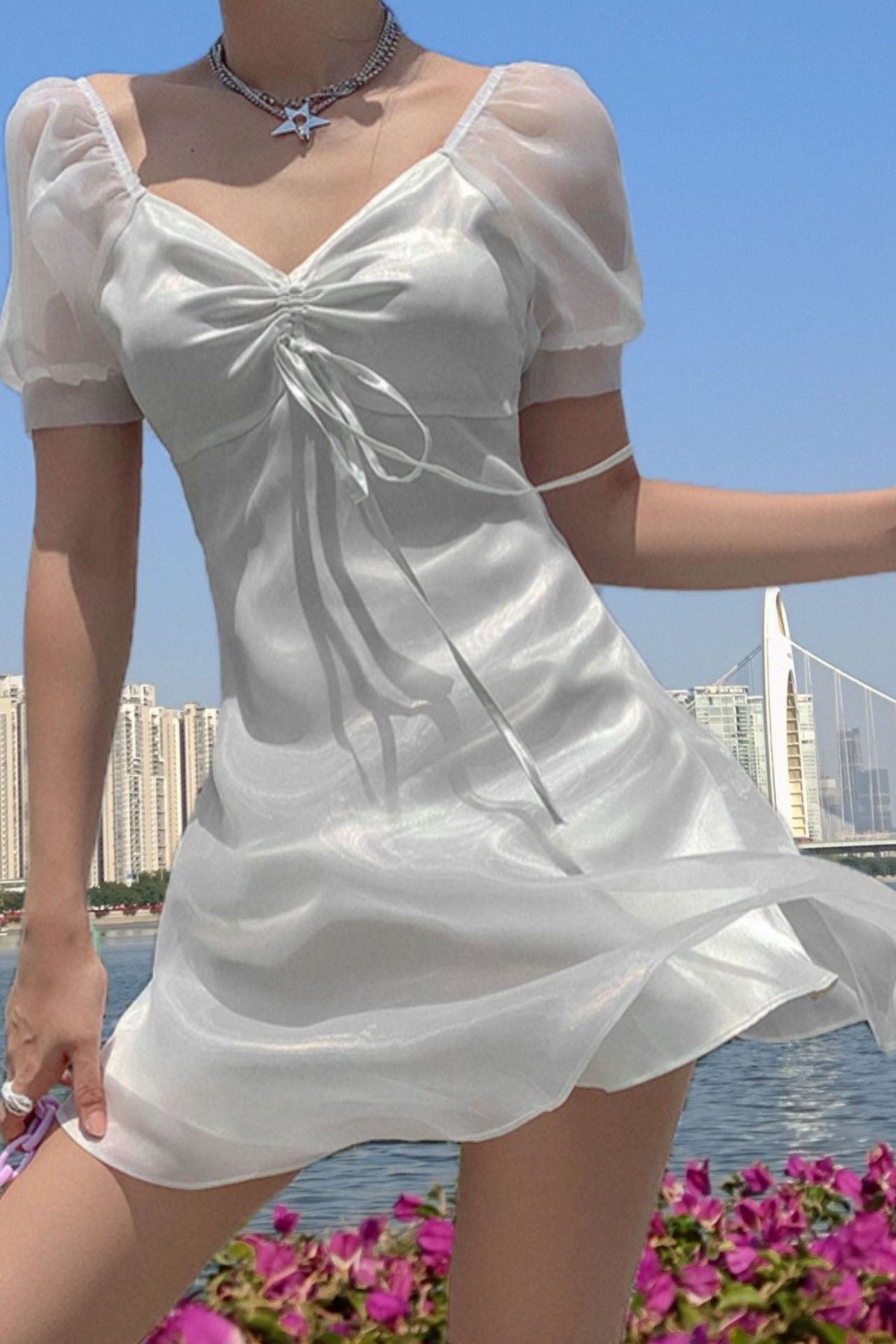 Modern Puff - Sleeve Sheer Princess Dress
