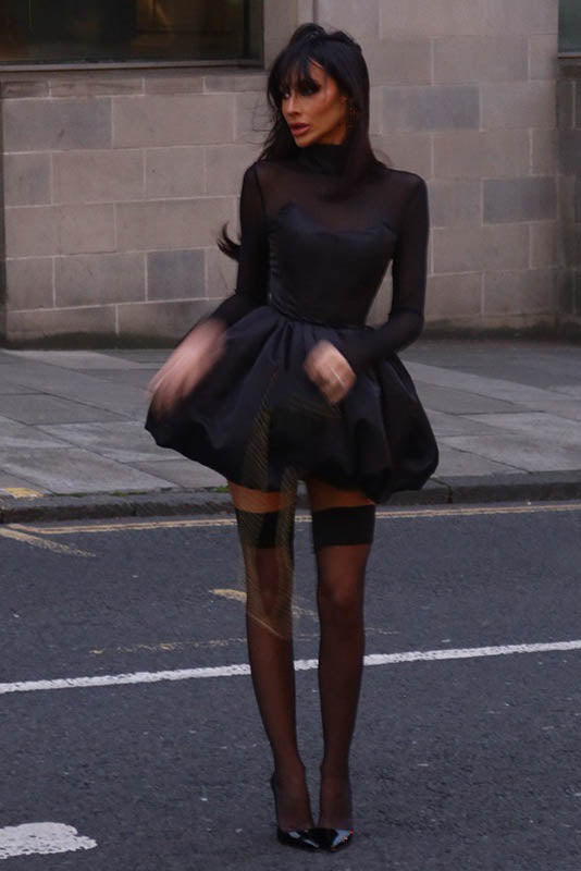 Winter Refined Mesh Sheer Slim Fit Puff Mini-Length Dress