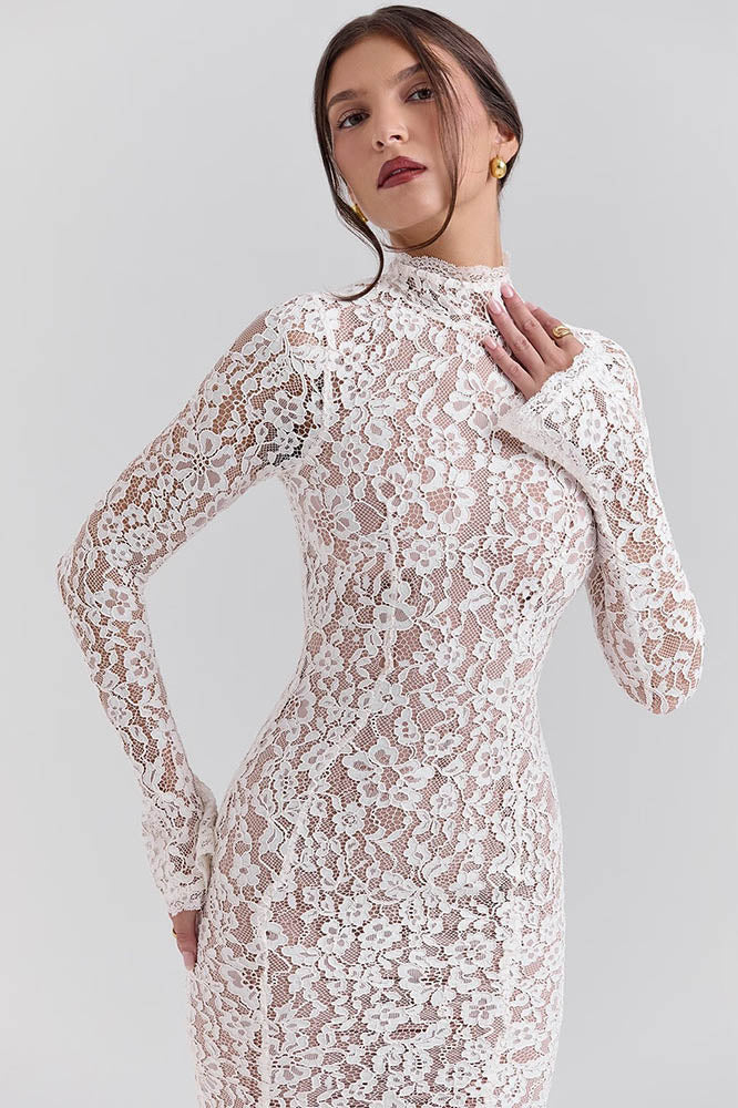 Lace High-Waisted Slimming Fitted Dress