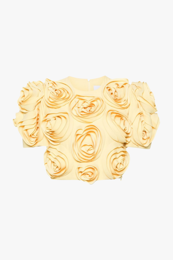 Aelis Puff Shoulder Flower Skirt Set