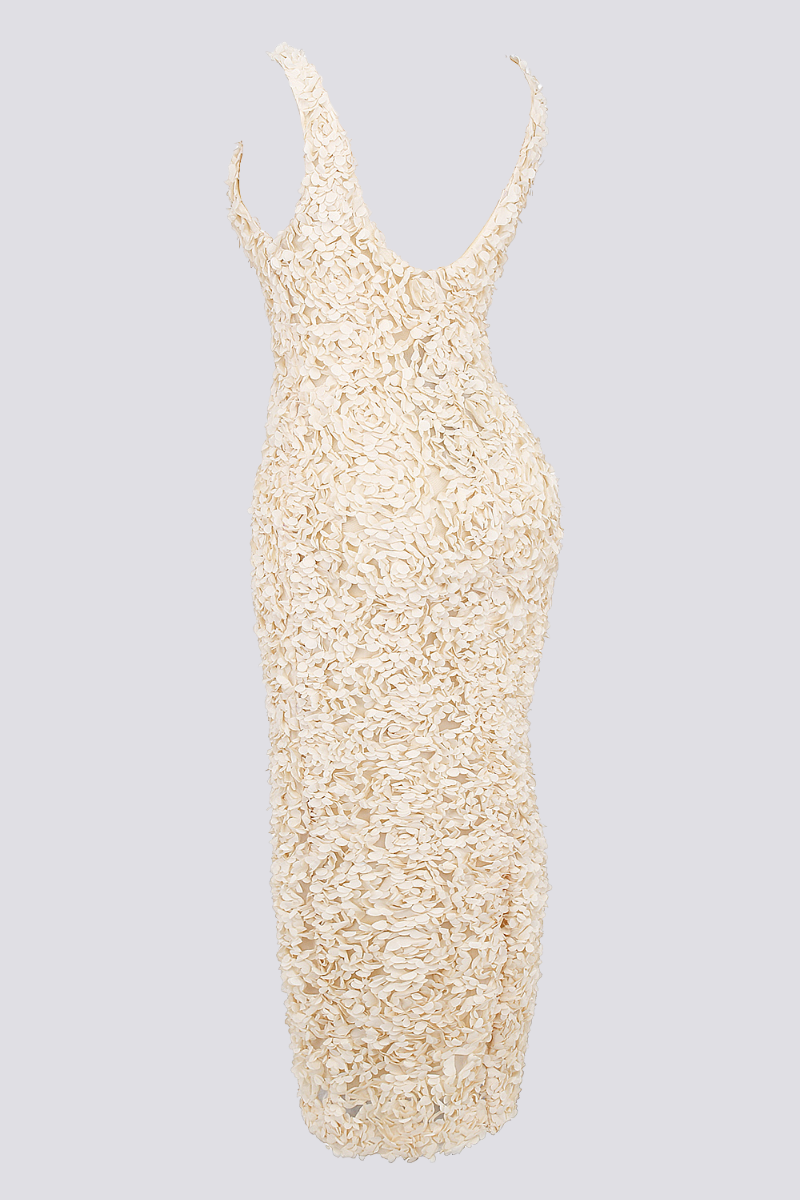Cyprine Plunge Neck Open-Back Maxi-Length Dress