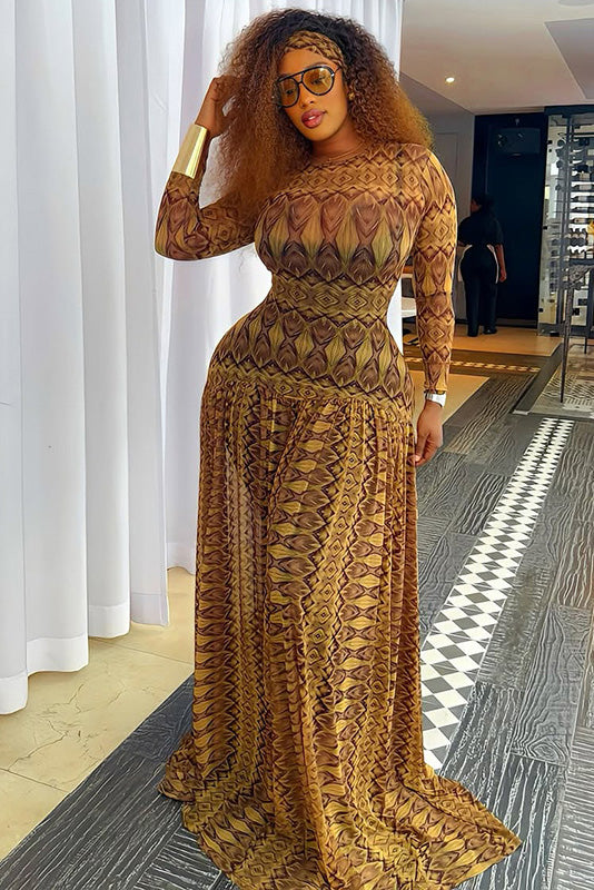 Retro Feather Print Sheer Maxi-Length Dress