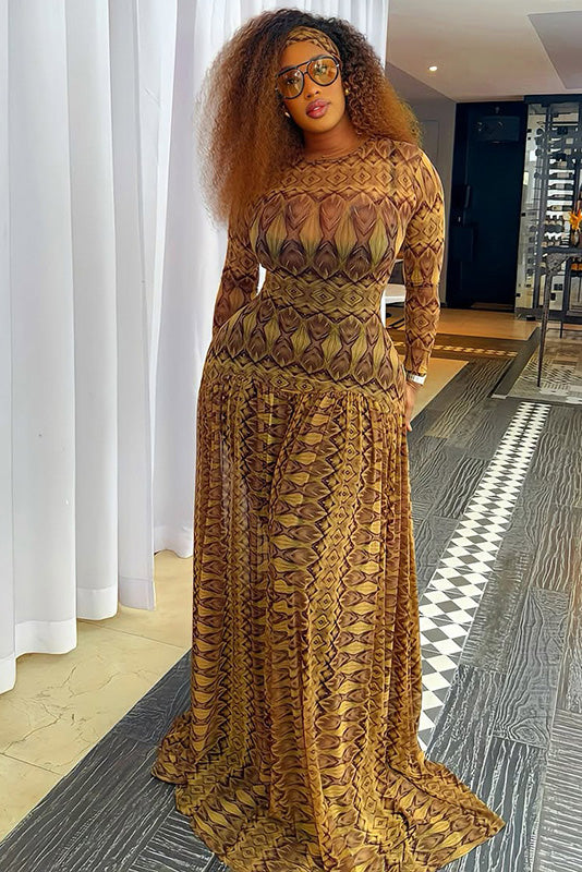 Retro Feather Print Sheer Maxi-Length Dress