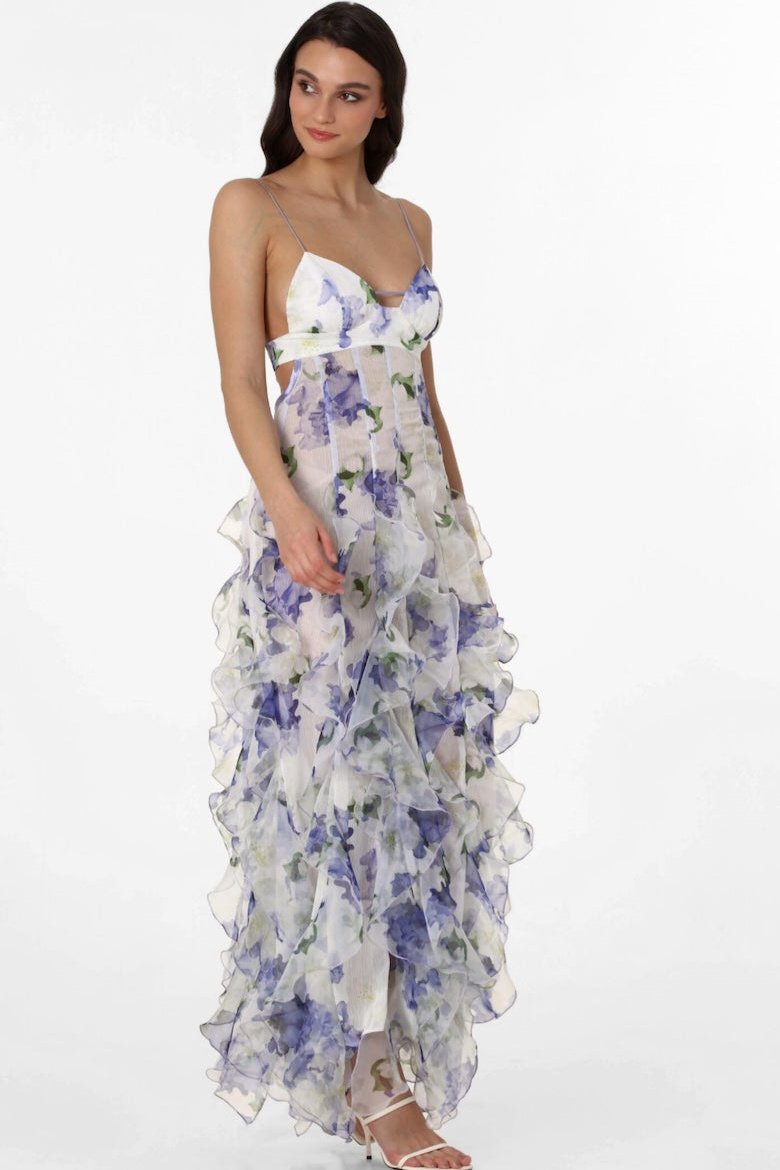Alexia Ruffled Sheer Maxi-Length Dress