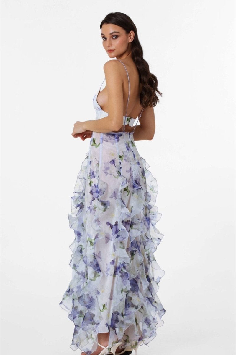 Alexia Ruffled Sheer Maxi-Length Dress