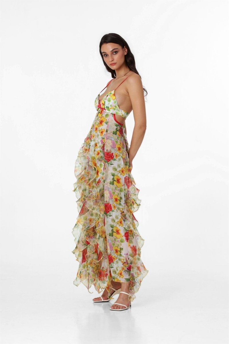 Alexia Ruffled Sheer Maxi-Length Dress