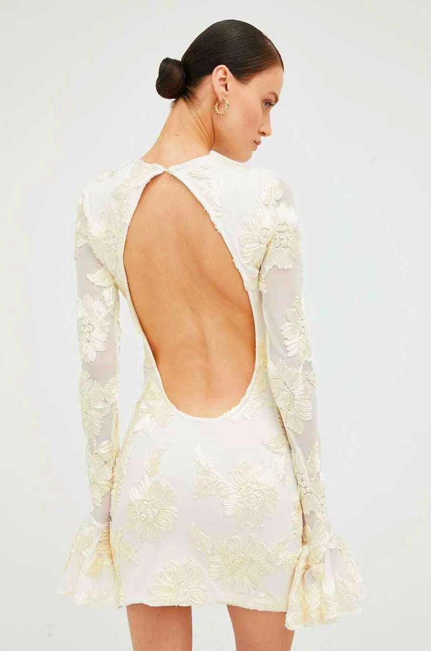 Aurora Embroidered Open-Back Mesh Mini-Length Dress