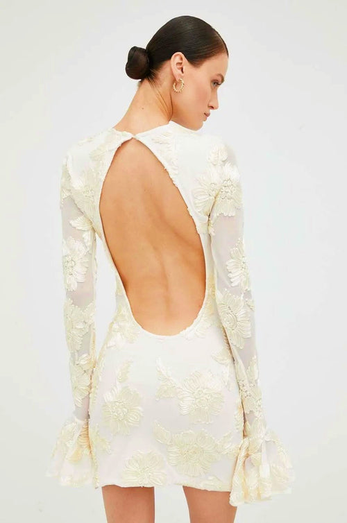 Aurora Embroidered Open-Back Mesh Mini-Length Dress