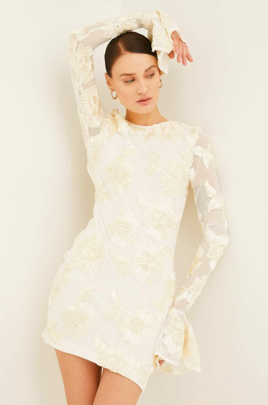 Aurora Embroidered Open-Back Mesh Mini-Length Dress