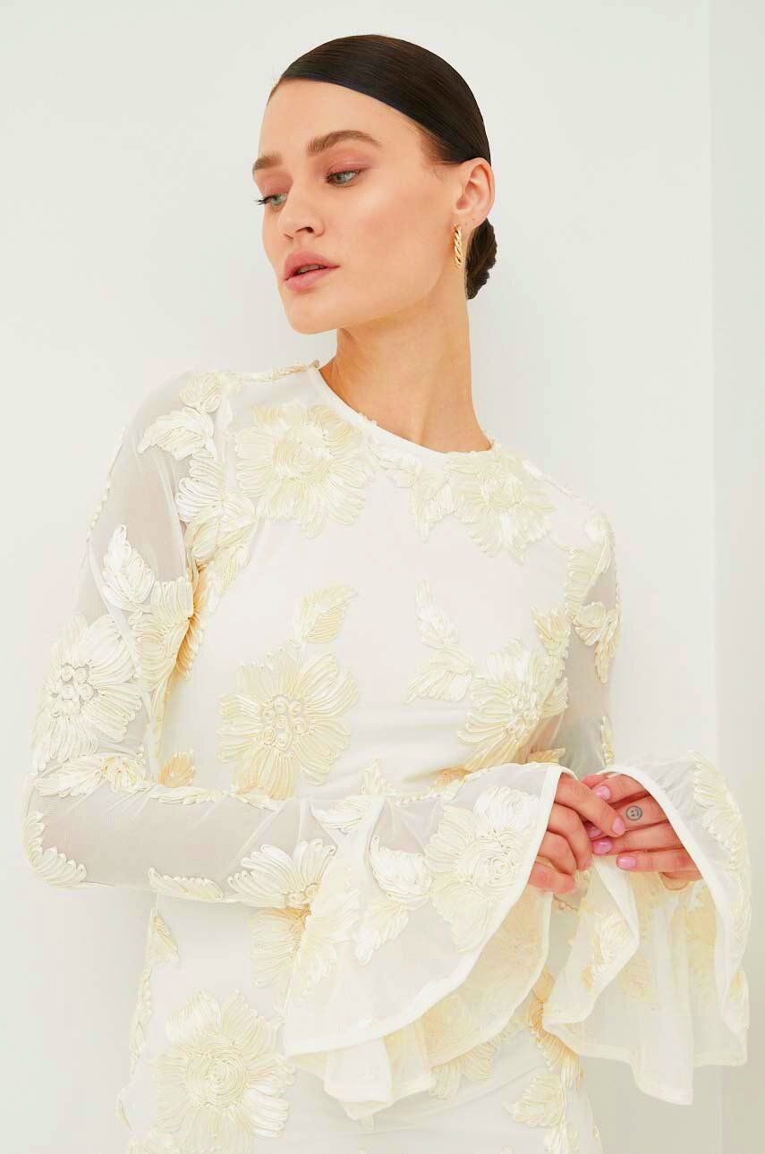 Aurora Embroidered Open-Back Mesh Mini-Length Dress