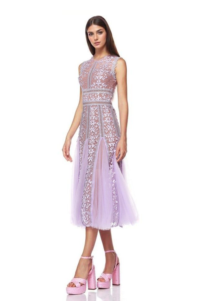 Heather Embroidered Lace Midi-Length Dress
