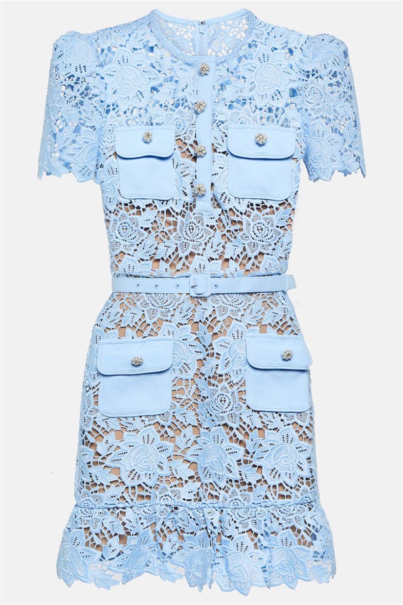 Renata Flower Embroidered Lace Mini-Length Dress