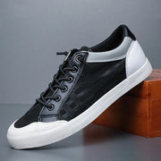 Black / White
