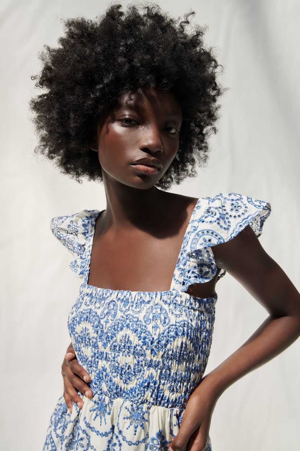 Maud Embroidered Lace Shirred Bodice Midi-Length Dress
