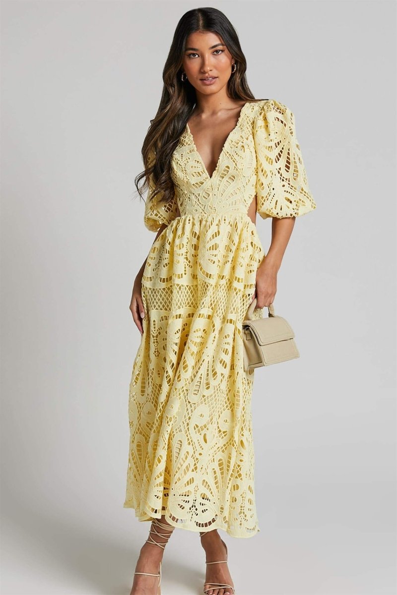 Sandra Embroidered Lace Cut-out Midi-Length Dress