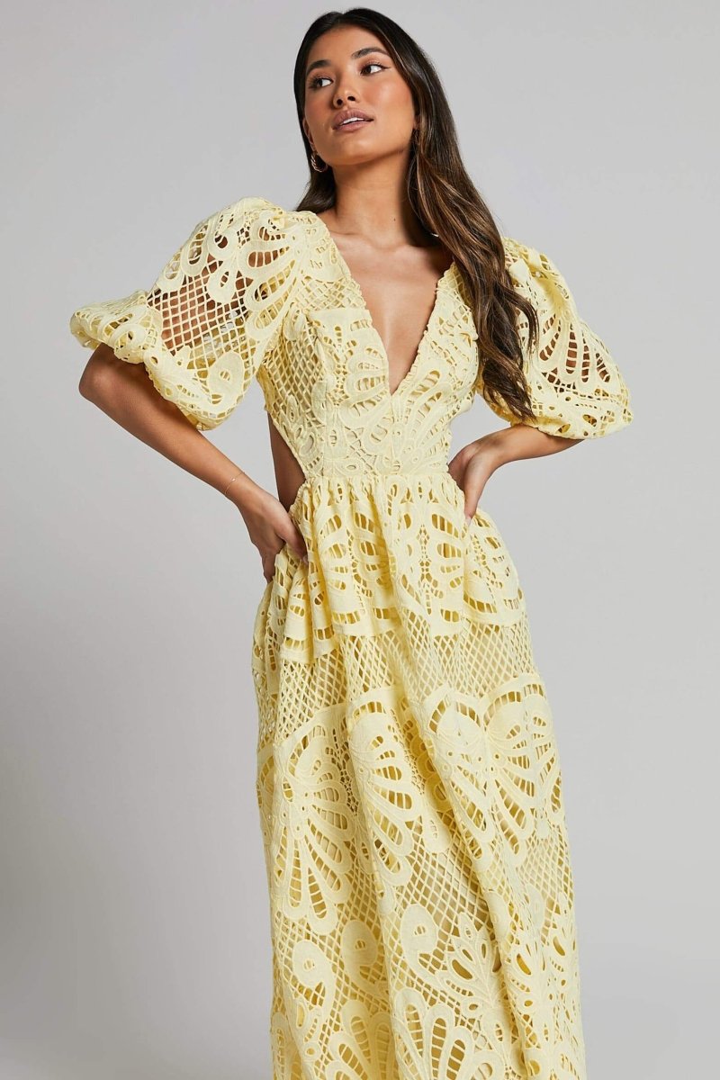 Sandra Embroidered Lace Cut-out Midi-Length Dress