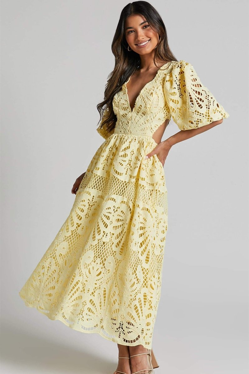Sandra Embroidered Lace Cut-out Midi-Length Dress