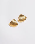 Statement Shell Me About It Earrings